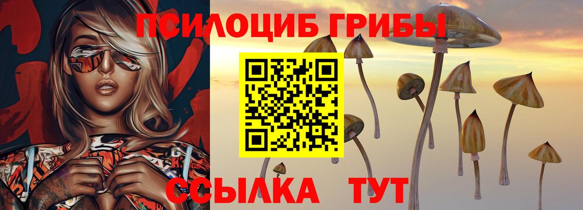 Галлюциногенные грибы Magic Shrooms Саяногорск