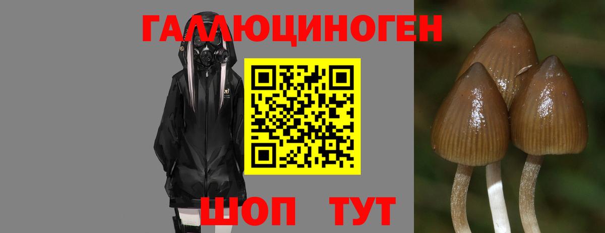 купить закладку  Галлюциногенные грибы Psilocybe  Вход с VPN  Галлюциногенные грибы GOLDEN TEACHER  Саяногорск 